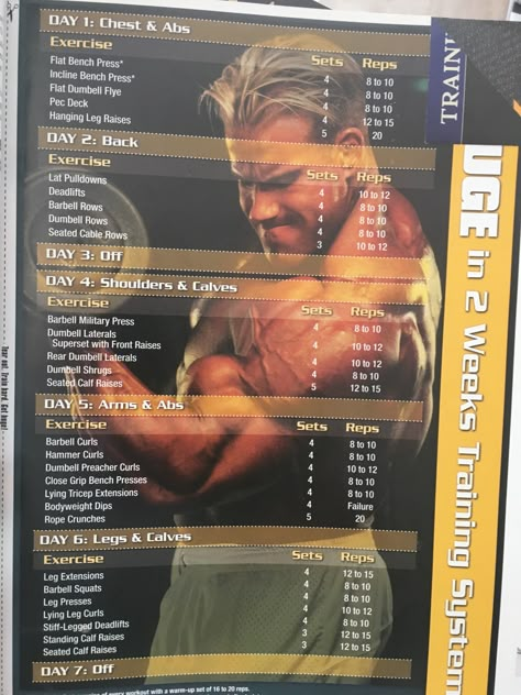 Jay Cutler Workout Routine, Weight Lifting Workout Plan, Full Workout Plan, Gym Workout Schedule, Muscle Groups To Workout, Dwayne Johnson Workout, Calisthenics Workouts, Beginner Workout Schedule, Powerlifting Workouts