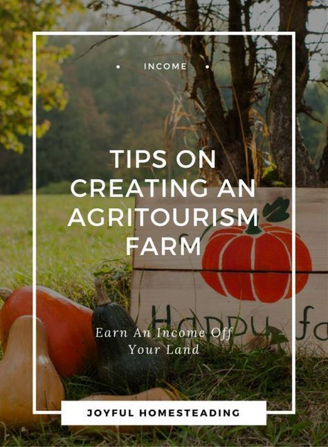 Farm Tourism, Agritourism Farms, Farm Plans, Homestead Farm, Farm Business, Future Farms, Farm Store, Sustainable Farming, Farm Stand