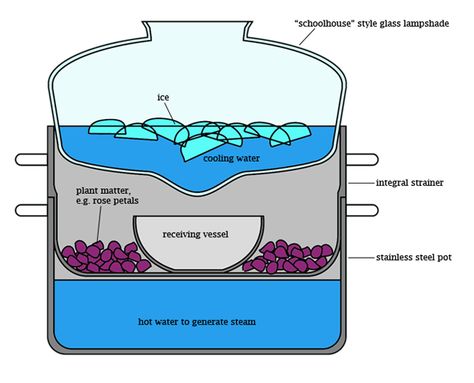 Oil Distiller, Essential Oils Properties, Essential Oil Distiller, Essential Oil Extraction, Homemade Essential Oil, Making Essential Oils, Distillation Process, How To Make Oil, Steam Distillation