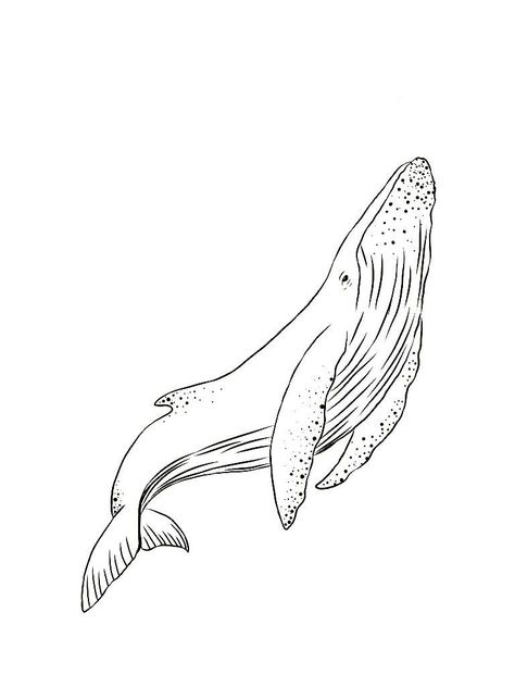 Hai Tattoo, Beautiful Coloring Pages, Whale Drawing, Ocean Drawing, Pola Tato, Arte Doodle, Whale Tattoos, Ocean Tattoos, Whale Art