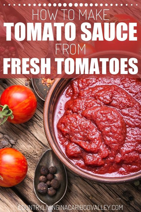 Here's a delicious recipe for homemade Tomato Sauce! Use fresh tomatoes and make sauce. Full recipe and canning step by step photos and instructions. Preserving food like Tomato Sauce is a great way to eat healthy and save money! Fresh Tomato Sauce Homemade, Tomato Sauce From Fresh Tomatoes, Tomato Sauce Italian, Sauce From Fresh Tomatoes, Sauce With Fresh Tomatoes, Using Fresh Tomatoes, Tomato Sauce Pasta, Vegan Dips, Fresh Tomato Recipes