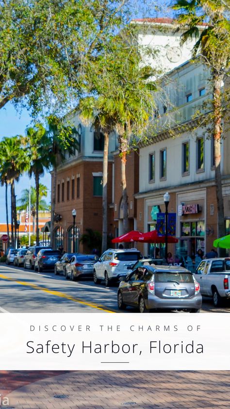 🌟 Discover the hidden gem of Safety Harbor, Florida! Immerse yourself in vibrant festivals, savor delectable cuisine, explore stunning parks, and explore the real estate treasures. 🌴 Experience coastal charm at its finest! #SafetyHarbor #FloridaLiving #CoastalParadise Safety Harbor Florida, Beach Towns, Florida Living, Coastal Charm, Florida House, Florida Usa, Beach Town, Hidden Gem, Tampa Bay