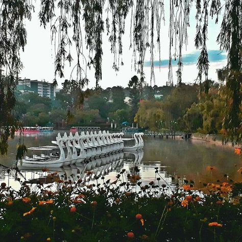 Burnham Park Baguio City  ...a sight to behold... reward for that 🕟 morning 🏃 Baguio City Burnham Park, Burnham Park Baguio Aesthetic, Baguio City Photography Landscape, Baguio City Photography, Burnham Park Baguio, Burnham Park, Baguio Philippines, Baguio City, Baguio