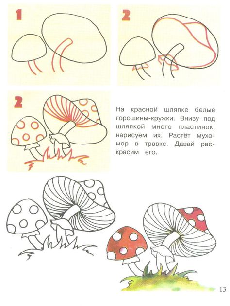 Garden Drawing Easy, How To Draw Mushrooms, Draw Mushrooms, Trin For Trin Tegning, Mushroom Drawing, Garden Drawing, Tangle Patterns, Trendy Flowers, Mushroom Art