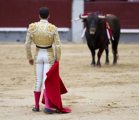 Bullfighter Aesthetic, Flamenco Aesthetic, Bull Costume, Matador Costume, Spanish Projects, Justice League Comics, Red Cape, A Bull, Vegan Animals