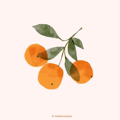 Sandrine Djellil on Instagram: “Today a Clementine sketch 🍊🍊🍊 Vitamins fruits are always a good idea ☺️ Have a good day ! - - #botanical #botanicalart…” Clementine Sketch, Illustration Botanique, 카드 디자인, Fruit Illustration, Art Et Illustration, Graphic Design Studios, Fruit Art, Botanical Drawings, Have A Good Day