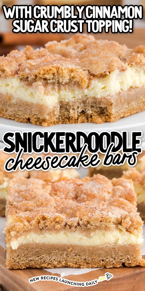 Cream Cheese Snickerdoodle Bars, Snickerdoodle Cheesecake Bars Easy, Classic Cheesecake Bars, Snickerdoodle Cream Cheese Bars, Snickerdoodle Apple Cream Cheese Bars, No Bake Snickerdoodle Cheesecake, Churro Cheesecake Bars Recipes, Snickerdoodle Apple Cheesecake, Baked Cheesecake Bars