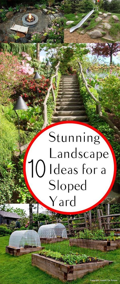 Yard Stairs, Sloped Front Yard, Sloped Backyard Landscaping, Alternative Homes, Terraced Landscaping, Landscaping A Slope, Sloped Yard, Hillside Garden, Sloped Backyard