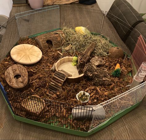 Hamster Enclosure Ideas, Hamster Playpen, Aesthetic Hamster, Hamster Tank, Kandang Hamster, Hamster Bin Cage, Hamster Enclosure, Hamster Diy Cage, Gerbil Cages