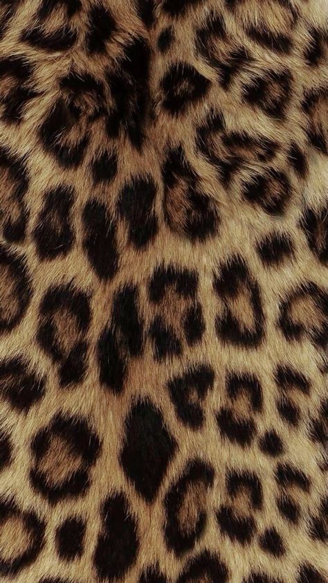 Leopard Print, Animal Print, Black