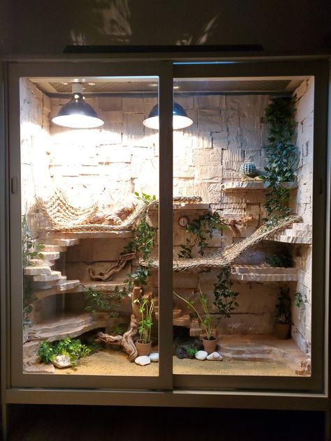 My custom bearded dragon enclosure, using an IKEA office bookshelf. Funny Animals Pics, Beard Dragon, Bartagamen Terrarium, Diy Bearded Dragon Enclosure, Lizard Cage, Bearded Dragon Vivarium, Bearded Dragon Terrarium Ideas, Dragon Terrarium, Animal Videos Funny