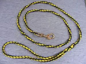 Paracord Dog Leash, Dog Spay, Paracord Dog Collars, Animal Advocacy, Patterns Ideas, Dog Obedience, Dog Eating, Dog Sitting, Little Dogs