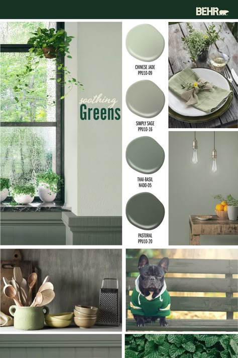 Bring the beauty of the great outdoors into the inside of your home with these nature-inspired green colors. BEHR Paint in Chinese Jade, Simply Sage, Thai Basil, and Pastoral come together to create a soothing color palette. Click here for more interior design inspiration from BEHR. Sage Green Paint, Interior Paint Colors Schemes, Behr Paint Colors, Farmhouse Paint Colors, Farmhouse Paint, Behr Paint, Green Paint Colors, Thai Basil, Chinese Jade