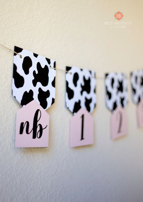 Cow First Birthday Theme, Pink Farm First Birthday, Cowgirl Themed 1st Birthday Party, First Cowgirl Birthday Party, Cow Themed 1st Birthday Girl, Cow Theme 1st Birthday Party Girl, Holy Cow I’m One Decorations, Cow Print First Birthday Girl, Holy Cow Im One Birthday Girl Decor