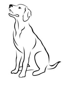 Pictures Of Dogs To Draw, Labrador Retriever Drawing Simple, Lab Outline Drawing, Dog Outline Drawing Simple, Simple Dog Drawings, Lab Dog Drawing, Labrador Drawing Simple, Happy Dog Drawing, Draw Labrador