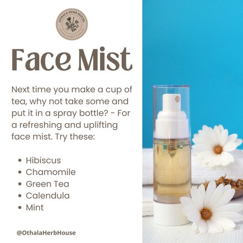 Tea on your Face? Herbs for Skincare Calendula Tea, Natural Hair Diy, Tea Diy, Lavender Tea, Rooibos Tea, Mint Tea, Hibiscus Tea, Chamomile Tea, Face Mist