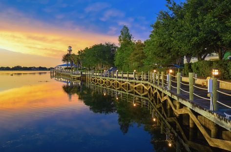 Cool Facts About The Villages Florida Villages Florida, The Villages Florida, Best Places To Retire, Moving To Florida, Retirement Community, The Villages, Master Planned Community, Water Tower, Small Towns