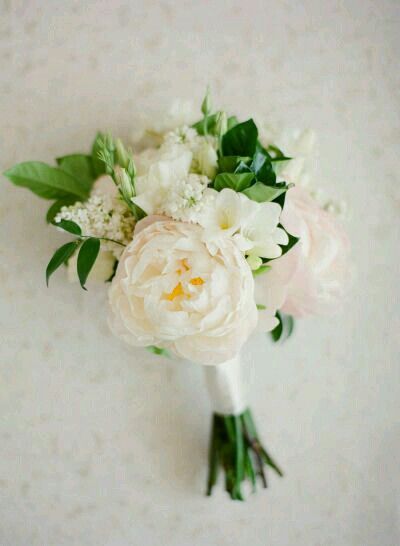 I really like this bouquet. It's small, not too round/ tight, has ivory/ blush flowers, the green is dark, and has ivory ribbon. Vintage Engagement Rings Simple, Small Wedding Bouquets, Flower Girl Bouquet, Flowers And Greenery, Small Bouquet, Bride Bouquets, Bridal Flowers, Bridesmaid Bouquet, Small Wedding