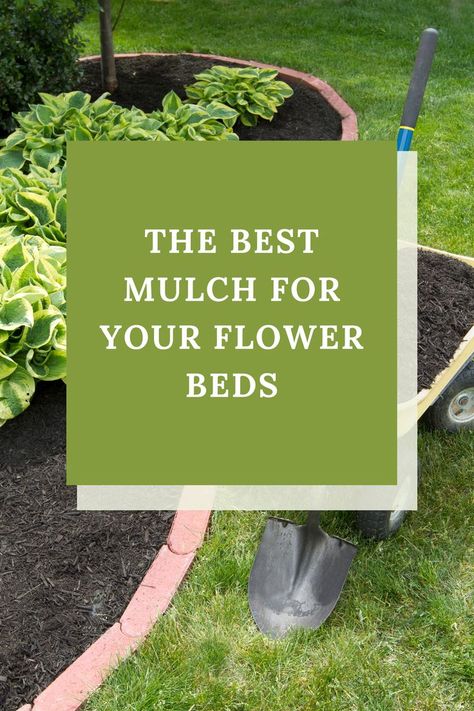 In a flower garden, mulch has benefits that are both practical and aesthetic. Find out which types of materials make the best mulch for flower gardens. Best Mulch For Flower Beds, Mulched Flower Beds, Flower Bed Filler Ideas, Christmas Makeup Looks Simple, Christmas Eyeliner, Creative Christmas Makeup, Mulch Flower Beds, Makeup Looks Winter, Christmas Makeup Simple