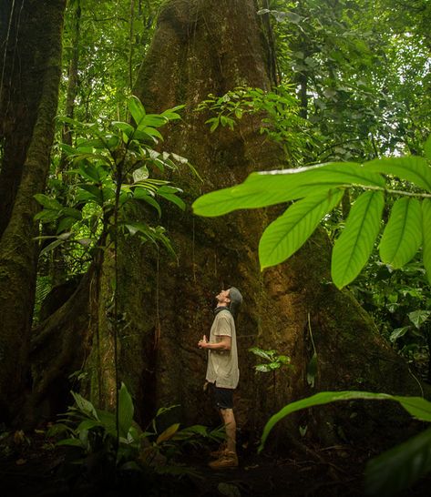 Forest Bathing or commonly known as Shinrin Yoku is a japaneese practice in whhichh we try to slow down and be present. The idea is to connect to nature withh our 5 senses. This practice feels AMAZING and brings a lot of health benefits. Chheck out our link to learn more. Costa Rica Forest, Connect To Nature, Business Shooting, Horseback Riding Costa Rica, Bamboo Forest Kyoto, Costa Rica Animal Sanctuary, Japanese Forest Shrine, Shinrin Yoku, Forest Bathing