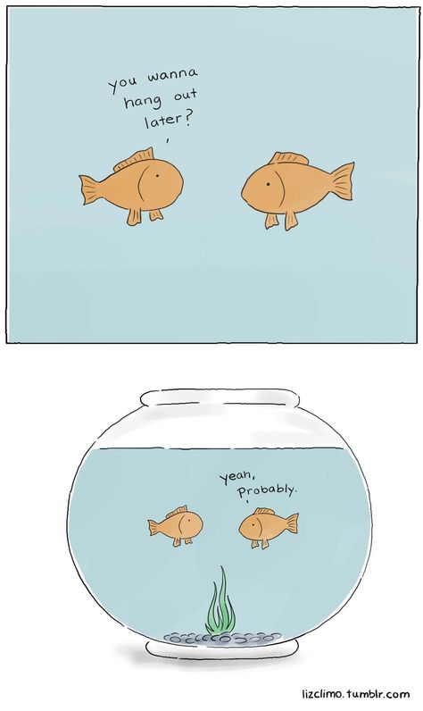 Liz Climo comics Roomies Quotes, Liz Climo Comics, Bd Comics, Pet Fish, Humor Grafico, Friends Are Like, Cute Comics, 귀여운 동물, Goldfish