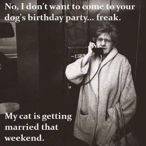 No, I don't want to come to your dog's birthday party... freak. My cat is getting married that weekend. #Funny #Meme #PetMeme #CatMeme #Memes #PetMemes #CatMemes #PetParent #PetParents #PetOwner #PetOwners #CatOwner #CatOwners Dog Birthday Party, House Smell, Fresh Memes, Funny Animal Memes, Dog Birthday, Sarcastic Humor, Funny Cartoons, Crazy Cat Lady, Animal Memes