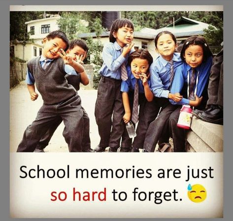 School Days Quotes, Quotes Memories, School Life Memories, School Life Quotes, Childhood Memories Quotes, Meaningful Pictures, School Quotes Funny, School Jokes, Funny School Jokes