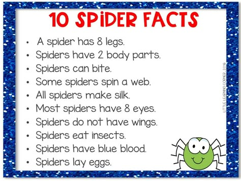 spider-facts-for-kids-printable Spiders Can Have Are Chart, Spider Lessons For Preschool, Spider Anchor Chart Preschool, Spider Circle Time Activities, Spiders Theme For Preschool, Spider Lessons For First Grade, Spiders Crafts For Preschoolers, Preschool Spiders Activities, Spider Lessons For Kindergarten