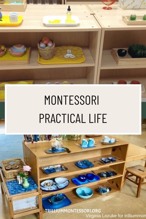 Montessori ‘Practical Life’ activities focus on the care of the child’s own person (personal dressing and grooming), care of the environment (cleaning, caring for plants and pets, preparing food), development of fine and gross motor skills, and learning courteous behavior and conflict resolution. The Benefits of Practical Life Independence, Confidence, and Self-Care The activities of […] Practical Life Kindergarten, Montessori Life Skills Activities, Ocean Practical Life Montessori, Montessori Practical Life Toddlers, Practical Life Water Activities, Practical Life Activities Preschool, Montessori Gross Motor Activities, Preschool Life Skills Activities, Montessori Practical Life 3-6 Activities