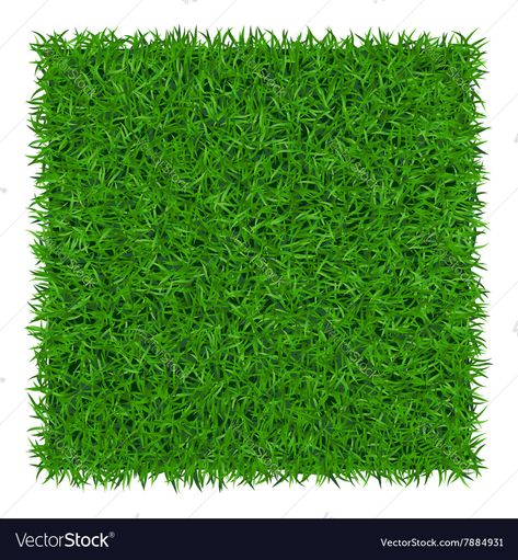 Green Grass Background, Rock Background, Summer Plant, Ad Photography, Grass Background, Nature Abstract, Spring Background, Print Products, Graphics Logo