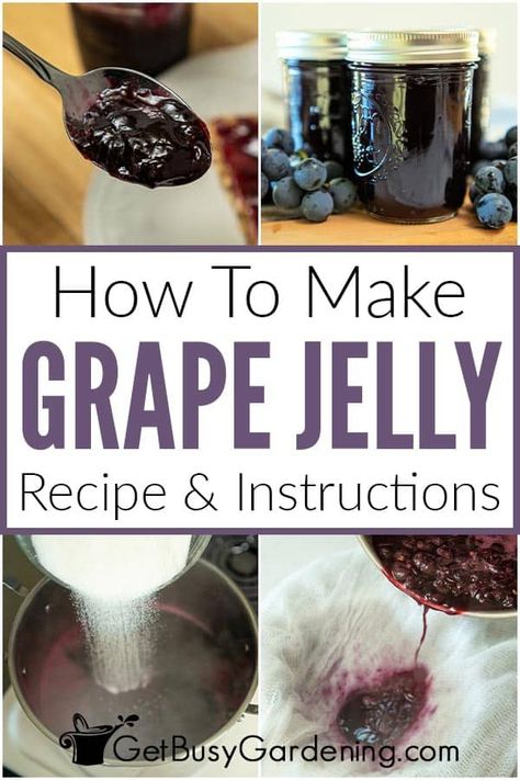 This is an easy and delicious recipe for homemade grape jelly that's so much better than store-bought! Learn how to make this simple grape jelly recipe in a few basic steps, and only 3 ingredients. You don’t need fancy equipment either. You will never taste a better grape jelly than this! You will have people asking you for more after they taste it, I promise! In this article, you will learn everything you need to know to make it, store it, and use it (on more than just your breakfast toast). Low Sugar Grape Jelly Recipe, Grape Jelly Recipe No Pectin, Concord Grape Recipes, Grape Jelly Recipe, Grape Jam Recipe, Homemade Grape Jelly, Concord Grape Jelly, Canning Jam Recipes, Grape Jam