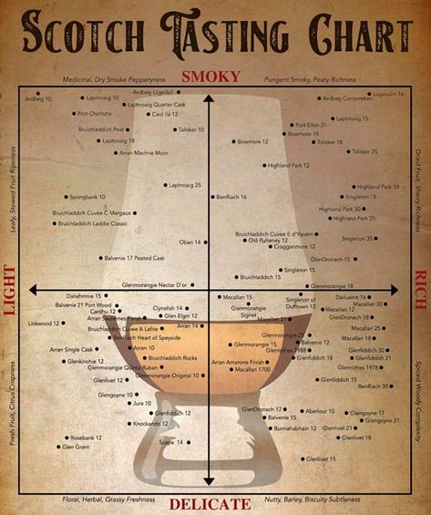 Scottish Drinks, Whiskey Tasting, Whisky Tasting, Cigars And Whiskey, Scotch Whiskey, Malt Whisky, Alcohol Recipes, Adult Drinks, Scotch Whisky