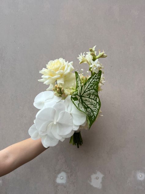 Unique bridal bouquet for a summers day. Caladium leaf, white phalenopsis orchid, tuberrose & lemon rose. Unique Bridal Bouquets, Unique Wedding Bouquet, Bouquet Inspiration, Unique Bouquet, Flower Boutique, White Bridal Bouquet, Venue Decor, Small Bouquet, Wedding Mood Board