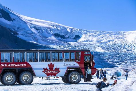 Colombian Glacier Tour Canada Tourism, Parks Canada, Lake Louise, Canadian Rockies, Banff National Park, Adventure Tours, Alberta Canada, Day Tours, Day Trip