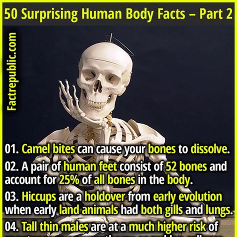 knowledge education youshouldknow humanbody health science bizarre rare weird strange Funny True Facts, Interesting Facts About Humans, Mind Blowing Thoughts, Odd Facts, Body Facts, Forbidden Knowledge, Epic Facts, Human Body Facts, Facts About Humans