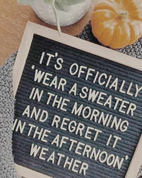 Letterboard Signs, Message Board Quotes, Thanksgiving Messages, Felt Letter Board, Word Board, Felt Letters, Autumn Quotes, Quote Board, Felt Board