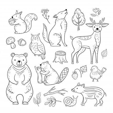 Doodle forest animals. woodland cute bab... | Premium Vector #Freepik #vector #wood #hand #nature #bird Doodle Forest, Woodland Drawing, Owl Bear, Animal Line Drawings, Baby Wolf, Animal Doodles, Animal Activities, Animal Baby, Image Vector