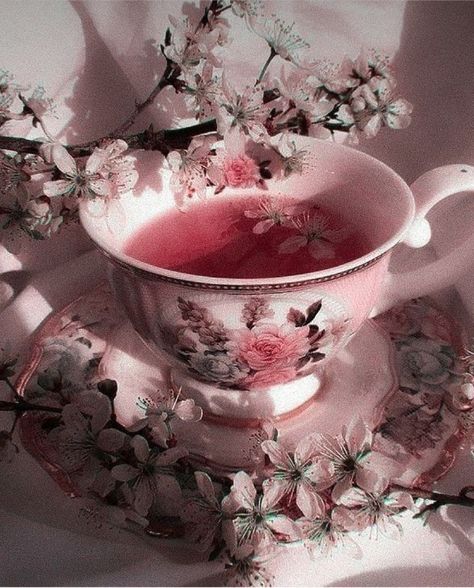 Men Candle, Flowers Cherry Blossom, Rosé Core, Pink Academia, Elixir Of Life, Romantic Nature, Light Academia Aesthetic, Natural Tea, Pink Sakura