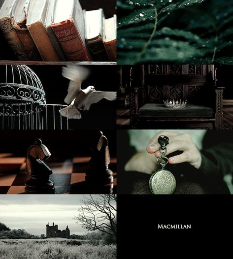 Sacred Twenty Eight, Magician Archetype, Dark Witch, Marauders Era, Harry Potter World, Harry Potter Fantastic Beasts, Colour Board, Harry Potter Fandom, Fantastic Beasts