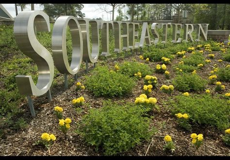 Southeastern Louisiana University, Hammond Louisiana, Manifesting Life, Louisiana Travel, Louisiana Style, Louisiana Homes, Good Times Roll, Gulf Coast, Work Travel