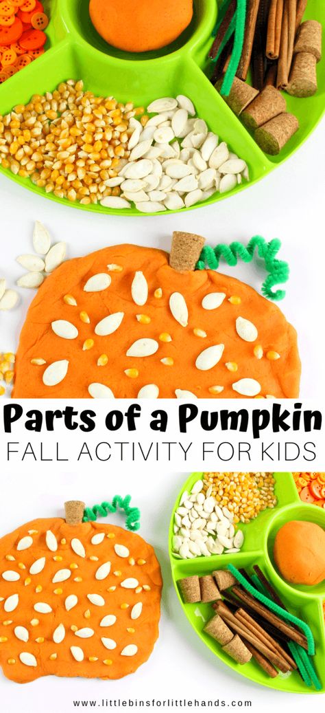 Fall Sensory Playdough, Hands On Pumpkin Activities, Pumpkin Provocations Kindergarten, Playdough Provocations Reggio, Thanksgiving Playdough Activities, Fall Playdough Activities, Halloween Eyfs Ideas, Pumpkin Eyfs Activities, Harvest Eyfs Activities