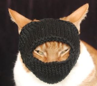 Spindles and Spices: International Cat Hat: Japan Cat Hats Knitted, Knitting Patterns For Dogs, Japan Pattern, Monster Hat, Cat Beanie, Ninja Cats, Knitted Cat, Cat Mask, Love Hat