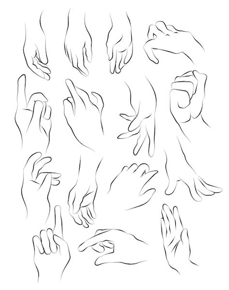 Hand sketch and drawing black and white ... | Premium Vector #Freepik #vector #hand-outline #hand-sketch #finger #hand-illustration Human Hand Bones, Hand Outline, How To Draw Fingers, Hand Silhouette, Drawing Black And White, Black Drawing, Hands Icon, Pointing Hand, Drawing Black