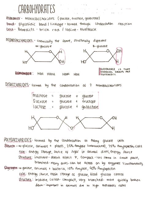 Biochemistry Notes Study Guides, Biological Molecules Notes, Cytology Notes, Carbohydrates Notes, Biochemistry Notes, Bio Notes, Chemistry Education, Study Biology, Biology Classroom