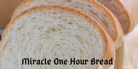 Miracle One Hour Bread - My Recipe Magic #bread #easyrecipe #homemade One Hour Bread Recipe, One Hour Bread, Chicken Fricassee, Fresh Turkey, Canning Whole Tomatoes, Salt Pork, Frozen Green Beans, Turkey Soup, Poultry Seasoning