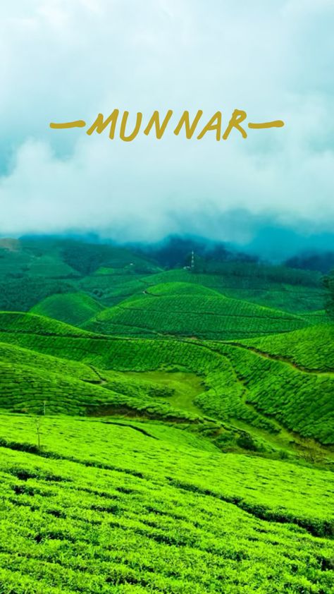 Munnar Kerala, Munnar, Hill Station, Natural Wellness, Kerala, Places To Visit, Quick Saves, Nature