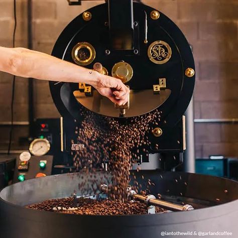 Coffee Roaster, Coffee