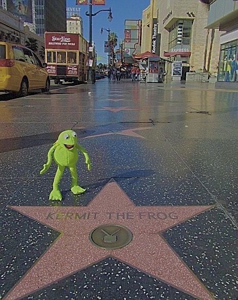 Sapo Meme, Kermit Funny, Frog Pictures, The Muppet Show, Frog Art, Kermit The Frog, Funny Profile, 웃긴 사진, Funny Profile Pictures