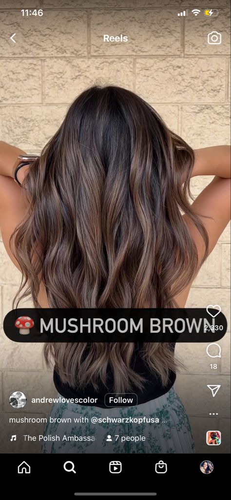 Pretty Brown Hair Colors Fall, Brunette Balayage Hair Hazel Eyes, All Brunette Hair Color, Medium Length Winter Hair Color, Low Maintenance Dark Balayage, Celebrity Balayage Hair, Brunette Partial Highlights Caramel, Fair Skin Balayage Brunettes, 2024 Summer Brunette Hair Trends