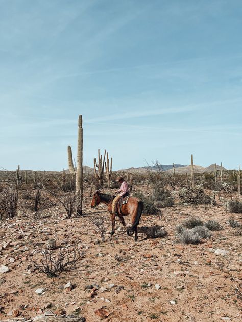 Desert Horse Aesthetic, Desert Ranch Aesthetic, Desert Collage, Ranch Aesthetic, Desert Ranch, Cowboy Vibes, Desert Horse, Cowboy Life, Desert Dreamer